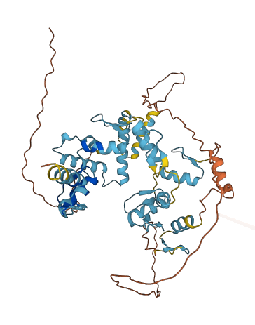 ZSCAN26 3D structure