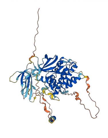 AMHR2 3D structure