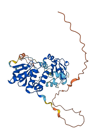 DUSP5 3D structure