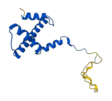 HIST3H3 3D structure