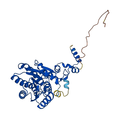 DECR1 3D structure