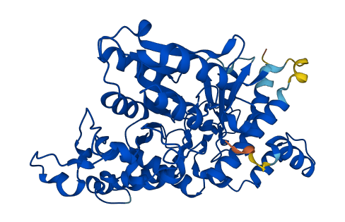 KYNU 3D structure