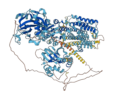 ATP2B3 3D structure
