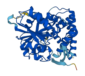 UGCG 3D structure