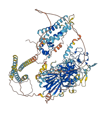 DGKD 3D structure