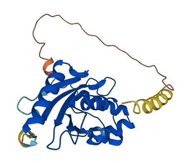 UBE2S 3D structure