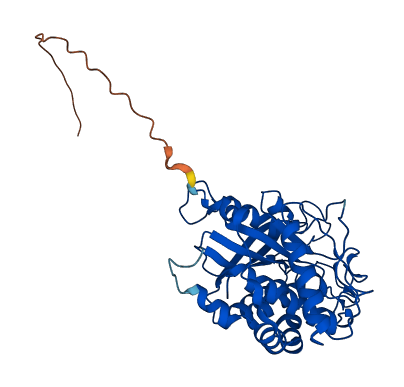 QPCT 3D structure
