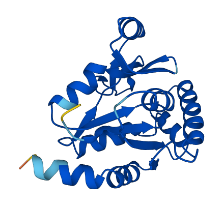 GUK1 3D structure