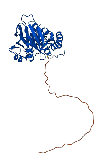HAGH 3D structure