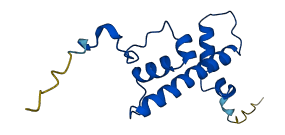 HIST2H2AC 3D structure