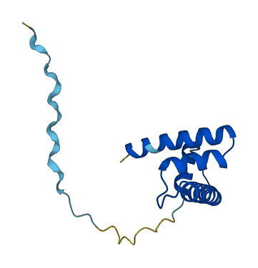 HIST2H2BE 3D structure