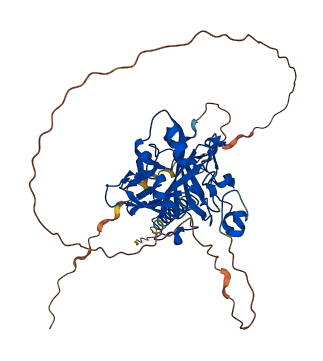 CA9 3D structure