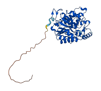 NDUFA9 3D structure