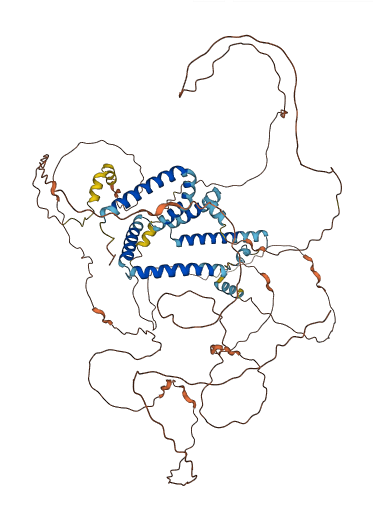 RTN1 3D structure