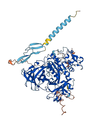 MEP1A 3D structure