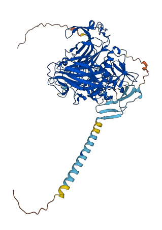MEP1B 3D structure