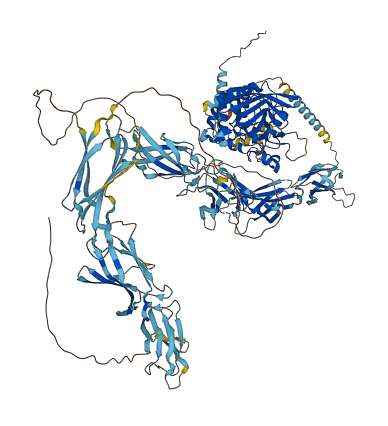PTPRO 3D structure