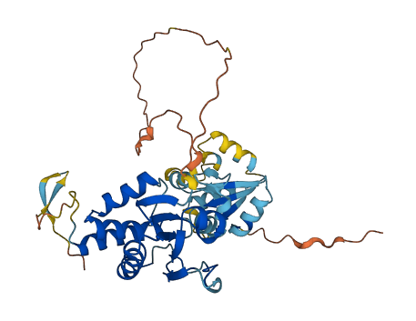DUSP6 3D structure