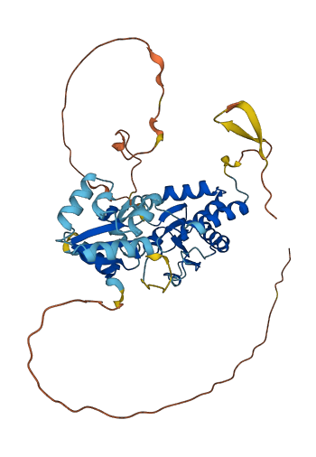 DUSP7 3D structure