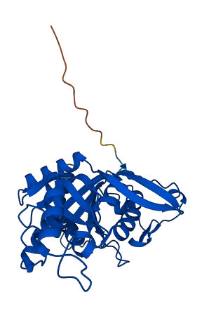 UPP1 3D structure