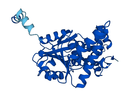 HADH 3D structure