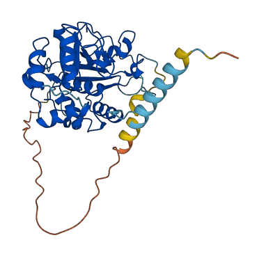 ST3GAL2 3D structure
