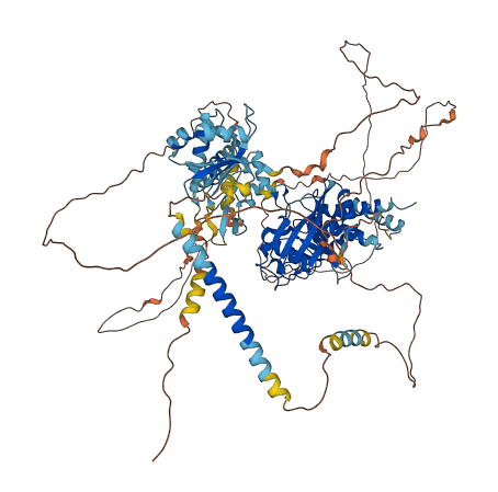 PTPRN 3D structure
