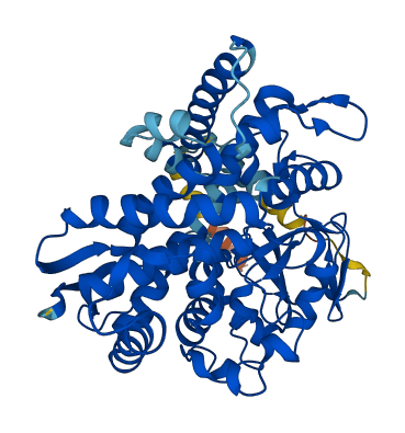 CYP51A1 3D structure