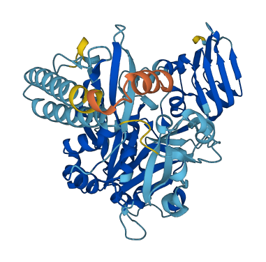 UGP2 3D structure