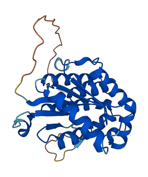 DGUOK 3D structure