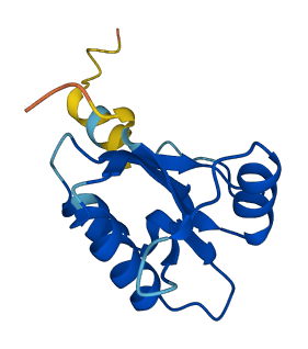 ATP6V1F 3D structure
