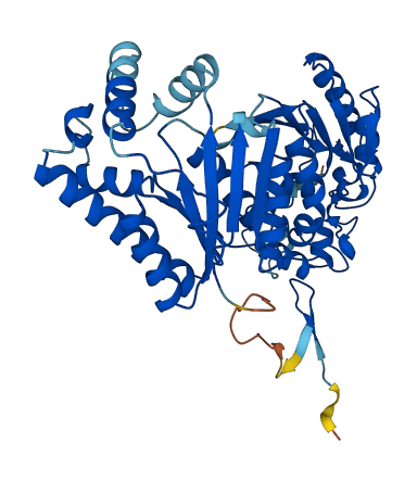 PFKFB4 3D structure