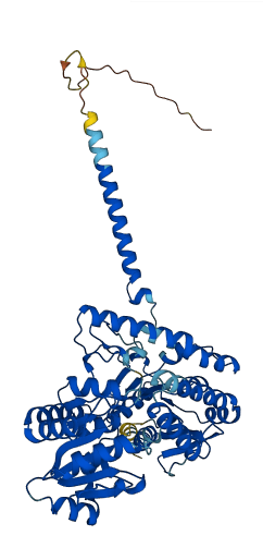 UGT8 3D structure