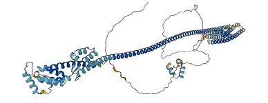 IMMT 3D structure