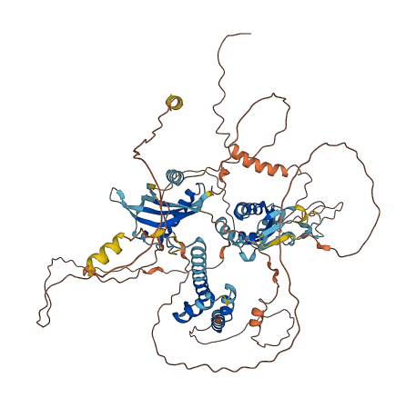 IMPG1 3D structure