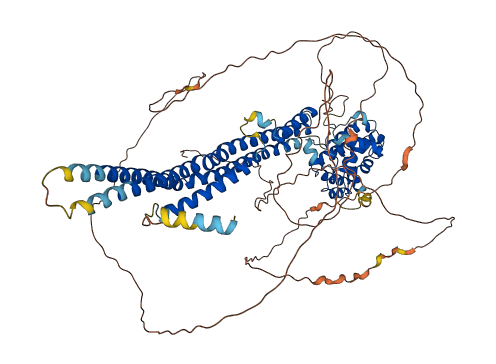 ARHGAP44 3D structure