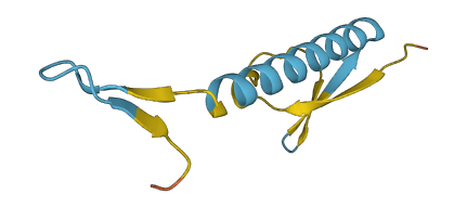 C21orf62-AS1 3D structure