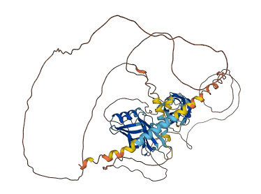 SYT16 3D structure