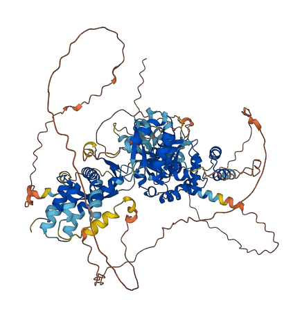 KCTD19 3D structure