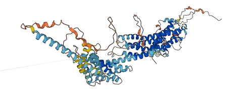 CCDC142 3D structure