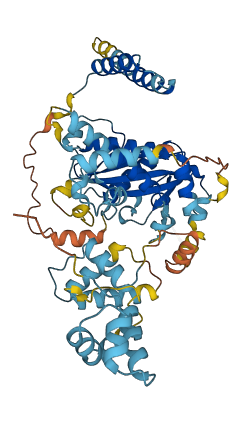 TIGD6 3D structure