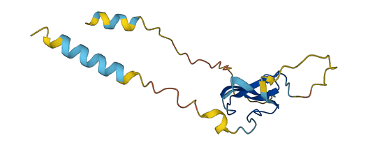 LY6K 3D structure