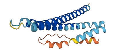 WHAMMP3 3D structure