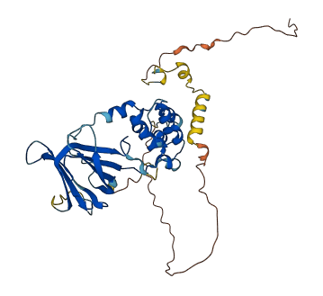 TMEM183B 3D structure