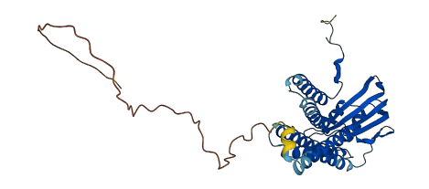 DUOXA1 3D structure