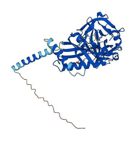 Tmprss11c 3D structure