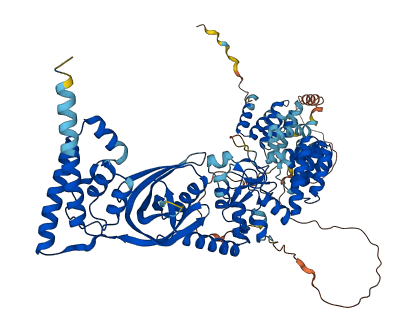 LONRF2 3D structure