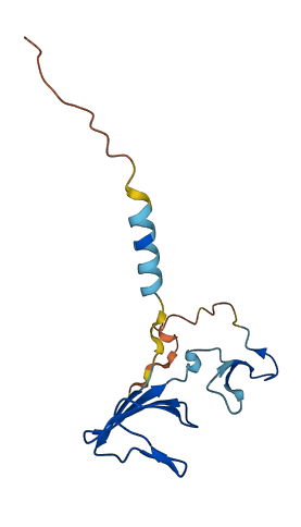 MSMP 3D structure