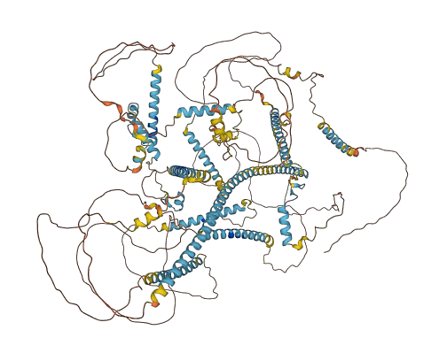 CSPP1 3D structure