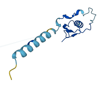SPINK13 3D structure